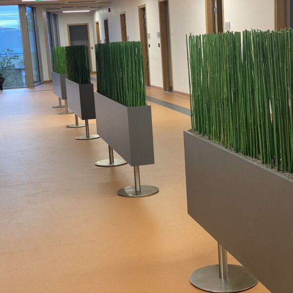 Tartu perearstikeskuses kõrrelised ja bambuselised. Taimekastid. forgreenerlilife.com