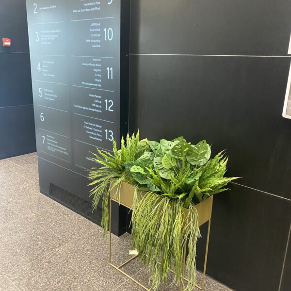 Taimede ja kõrreliste kastid. Kunst ja säilitatud taimed. Forgreenerlife.com