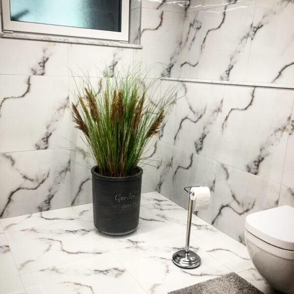 Taimede ja kõrreliste kastid. Kunst ja säilitatud taimed. Forgreenerlife.com