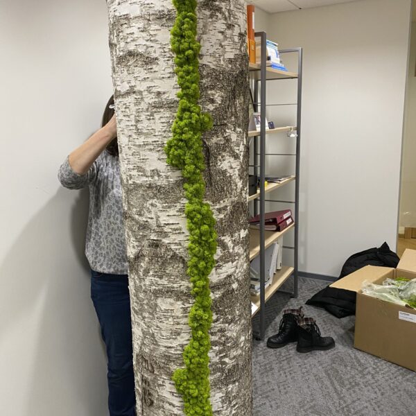 03E5A645-DD96-433F-A5C2-560F2EA8B4DA