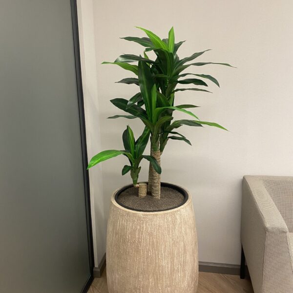 09D76D9D-63C0-4FAC-B6C2-0D4BFB302773