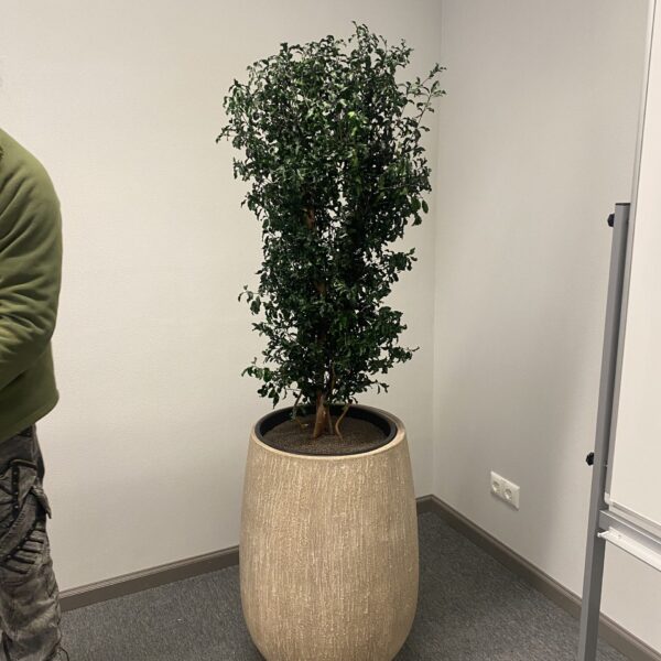 0D4AA0C5-C000-41A3-9FB9-C785E1070F5B