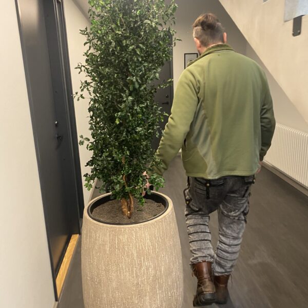 54A06A6C-6196-445A-80BF-13D3B53E92B7