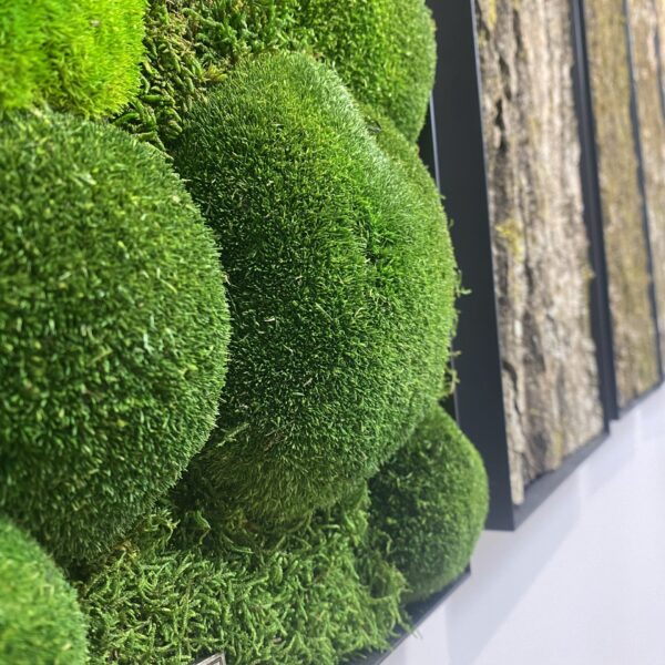 591F310E-DF65-4BFF-989D-98F75B5B2C6F