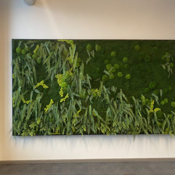 5C7A304D-8B7E-4A9B-9277-A5BF73DBAA6B