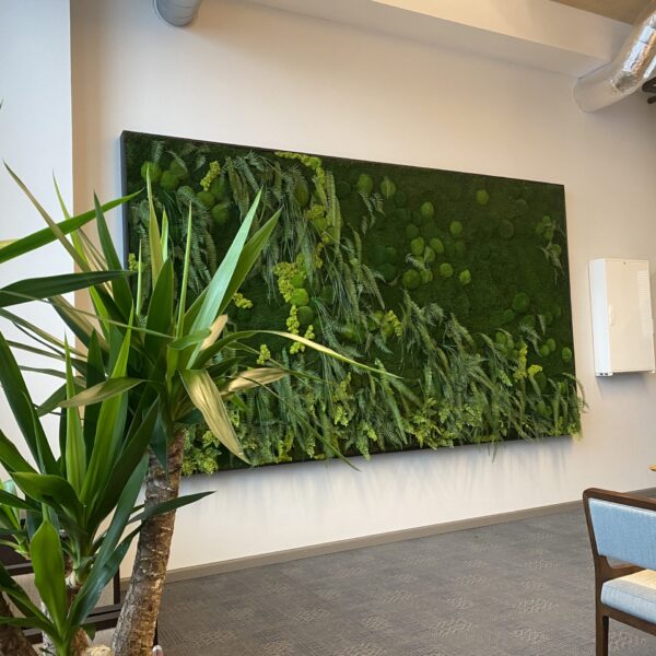 697E38E0-2DF2-40F4-A4A5-E3131FC13CBC