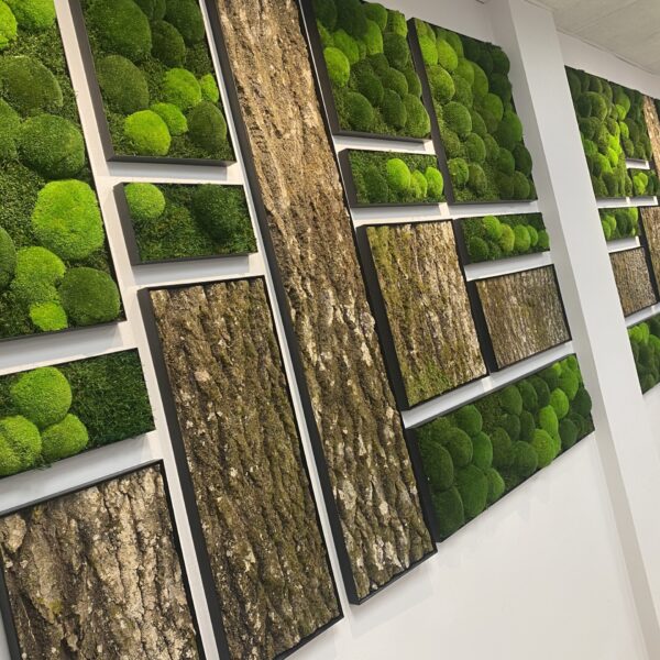 6DA622B7-CFA4-4C40-9C51-F7EA210520DE