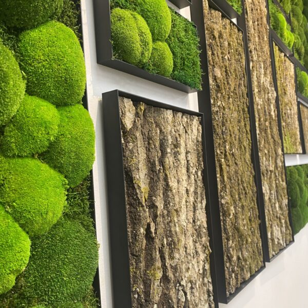 6E8332B3-B9BD-4F66-9A97-56D13D62000F