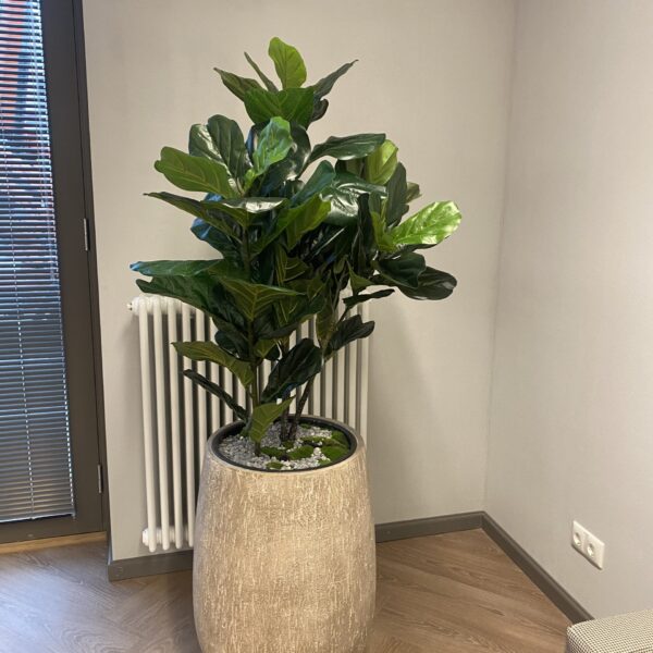 7699FEF4-8B8B-4F82-8C17-9786FEDD9916