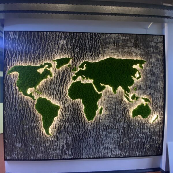 771248A3-E3B6-4233-BA24-938CE5BA4F21