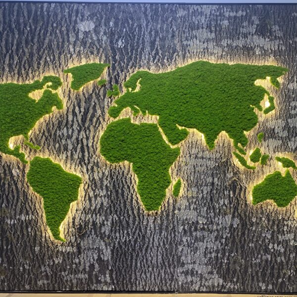 7A6D2296-7DE0-444A-9AB8-93B36CA49508