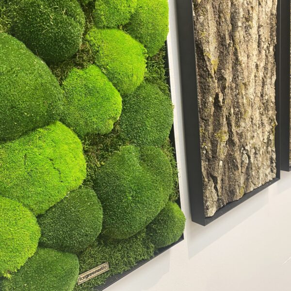 859FA839-CFE4-4790-BDFE-7E218B677586