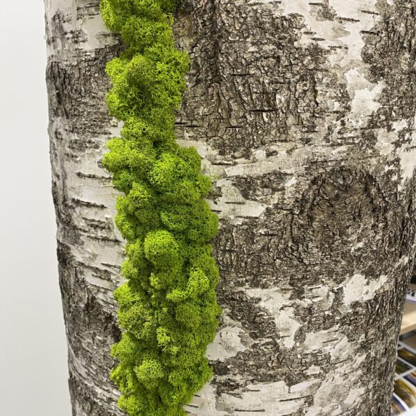 8C66EE6A-C4FD-40C9-A1B7-1FEDDD1EF54F