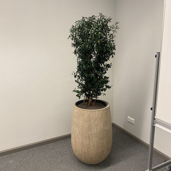 964B9EB1-156C-4100-942C-0F1C90AB06B6