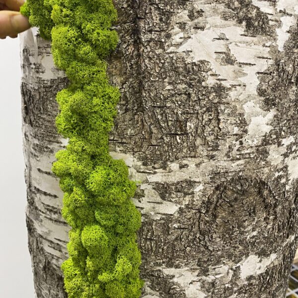 97E392B6-4258-4F72-9B07-857F890B63D2