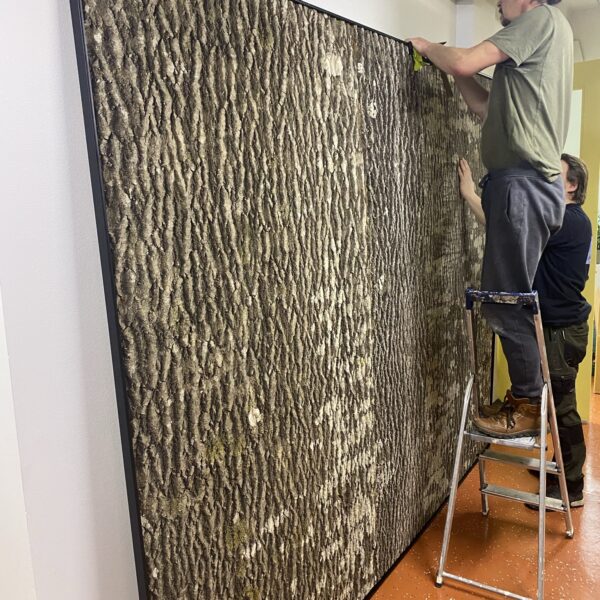 99B484C8-7370-41D9-AAEA-CE56EA9DE810