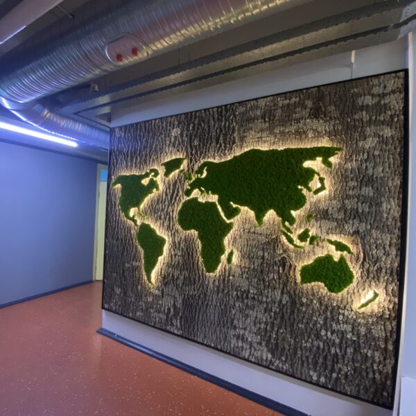 9A4A7B0C-EB33-4F92-87E3-024A801BC5CD