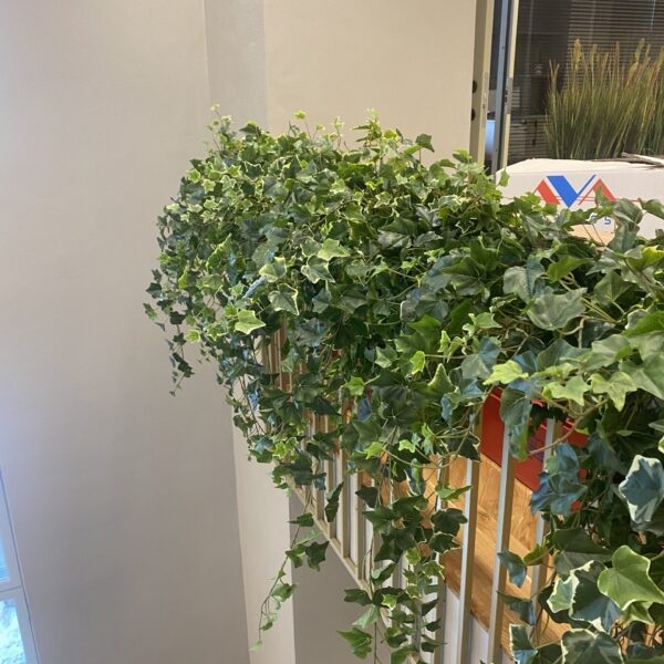 9EC890AD-5968-4E89-8486-5E6A6BAB582C