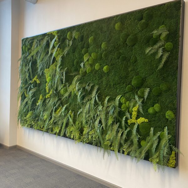 C1AFF1C6-637B-472C-A550-6DB5D8D4B76B