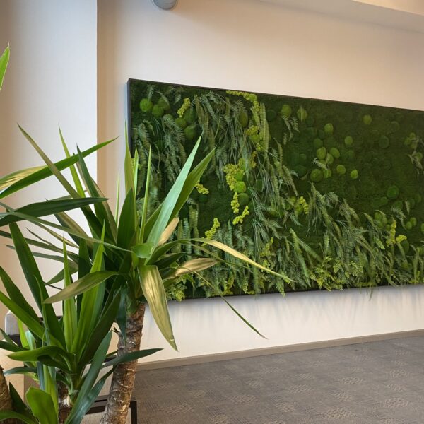 CF2815F2-7BFC-4A29-BEE9-8A478A0C0CD4