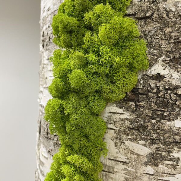 D4ED5EFA-67C1-4F67-B577-E34763AB96BC