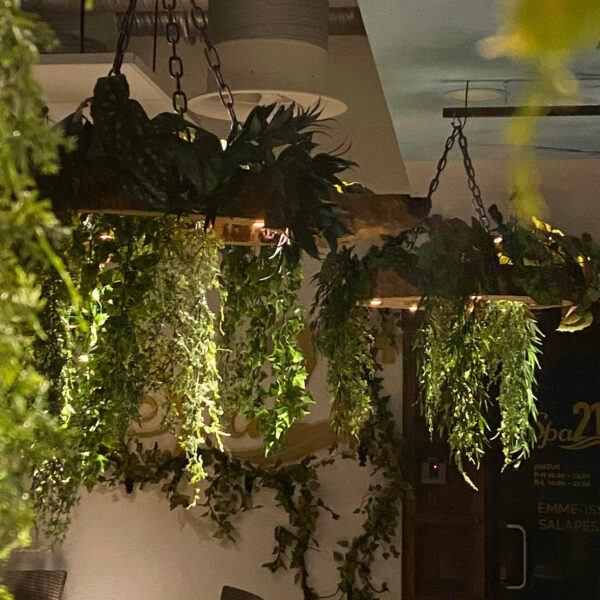 D724319D-A4F1-4ED9-BA3C-C339FA2ABEE5