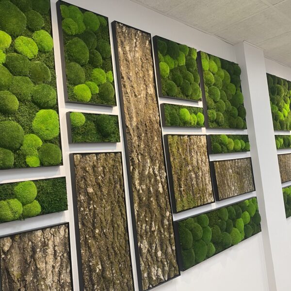 E07FB48E-9149-4DE7-883E-26BD2CF9C474