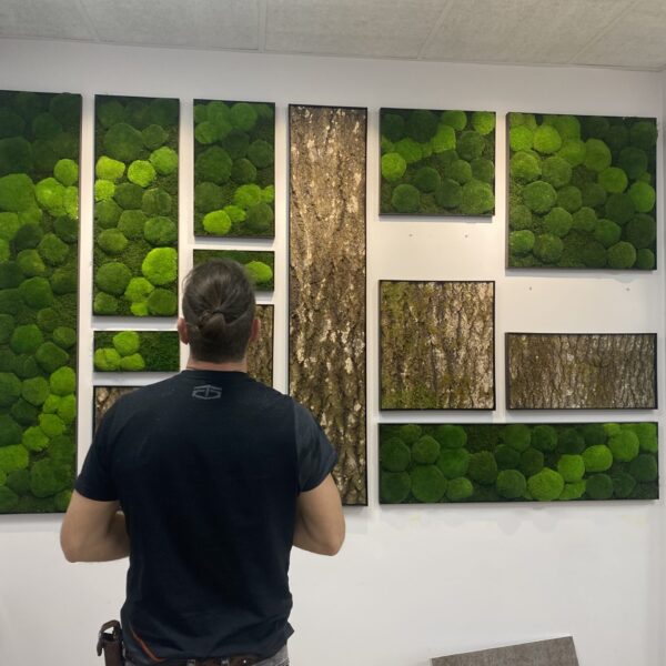 E4B8D6EA-8338-441F-9C01-8A793581E8FD