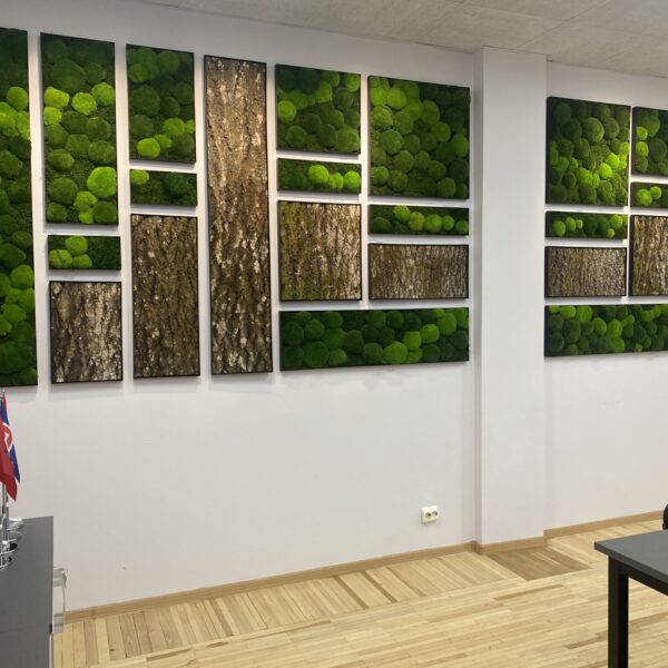 Akustilise paneelid samblikust ja haavakoorest Forgreenerlife.com