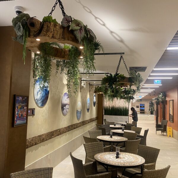 E7506F08-74DE-4D4F-AEE6-1B215F6CC8F6