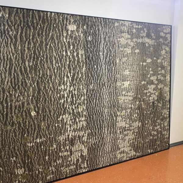 E9B996F7-D7E9-4C7C-B383-9FE498691E8F