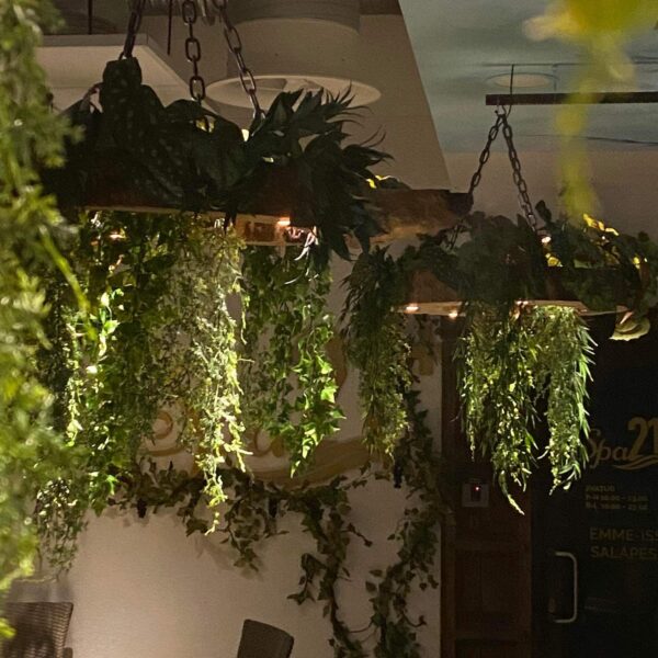 F55FFD54-59E8-44B8-98AE-BC2732FC5461