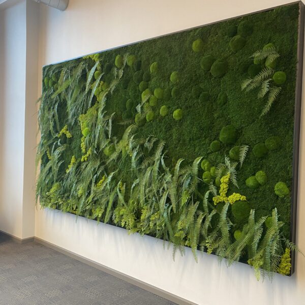 F63EA9D6-3706-4911-A310-F6DE677D05FE