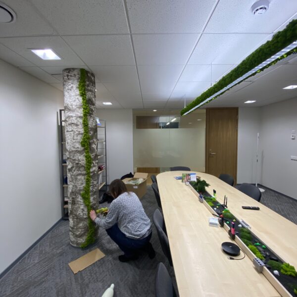 FEB9BA3F-38B6-4ED0-AD1E-E05FCBEF5F20