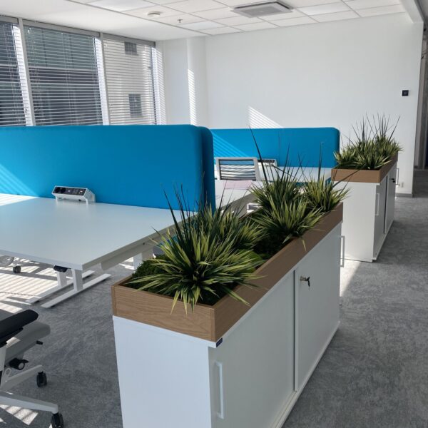 017E01E4-3A73-4220-9D6E-13BD11DD008E