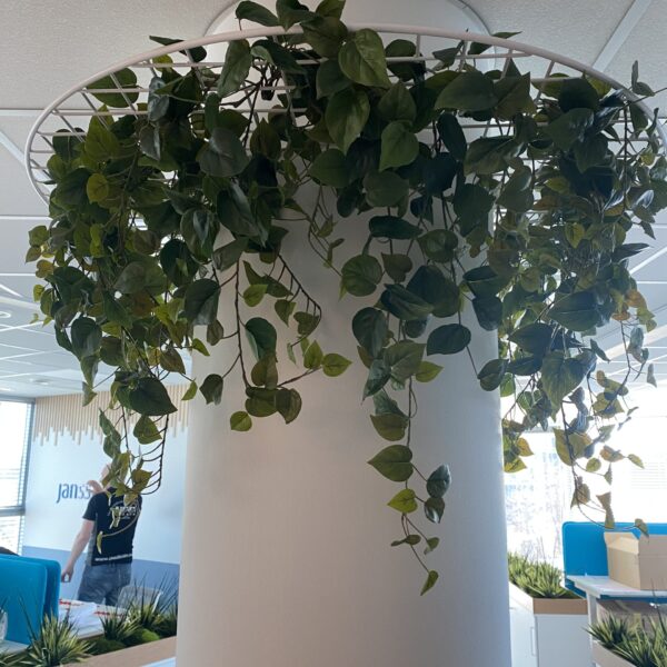 051E4069-5E6C-40B4-8475-425E4600419A