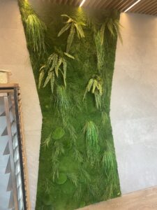 Taimeseinad kontorisse Forgreenerlife.com . Kontori rohelus