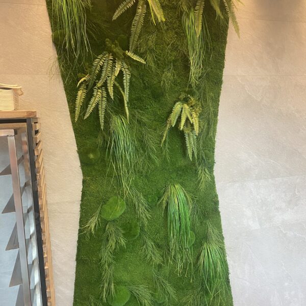 Taimeseinad kontorisse Forgreenerlife.com . Kontori rohelus