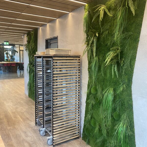 Taimeseinad kontorisse Forgreenerlife.com . Kontori rohelus