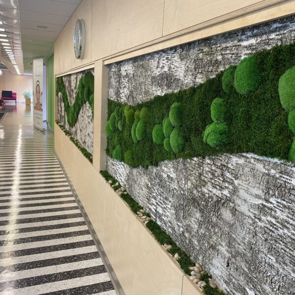 tERVISE SPAA KASETOHUST JA SAMBLIKUST SEIN.