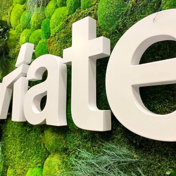 140008109_887547642090947_8159579412041237974_n