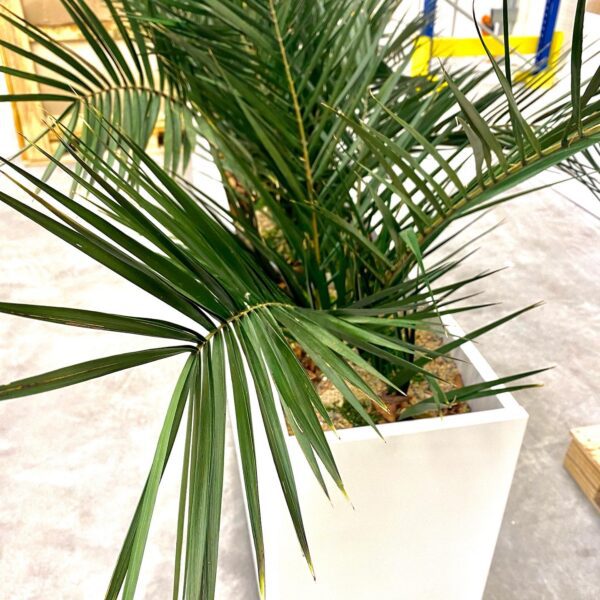 19C3F27D-7FFA-48EA-A165-7FAEFFE9E7A6