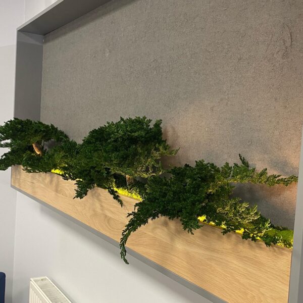 1C02129E-240C-41E4-BFB6-D16E228A6C28