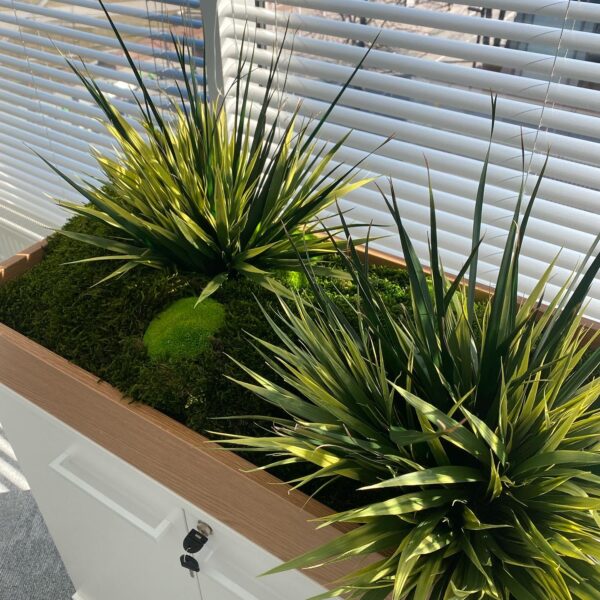 23D7C256-5D9D-4F3B-A47D-C1BB4E388EF3