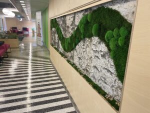 tERVISE SPAA KASETOHUST JA SAMBLIKUST SEIN.