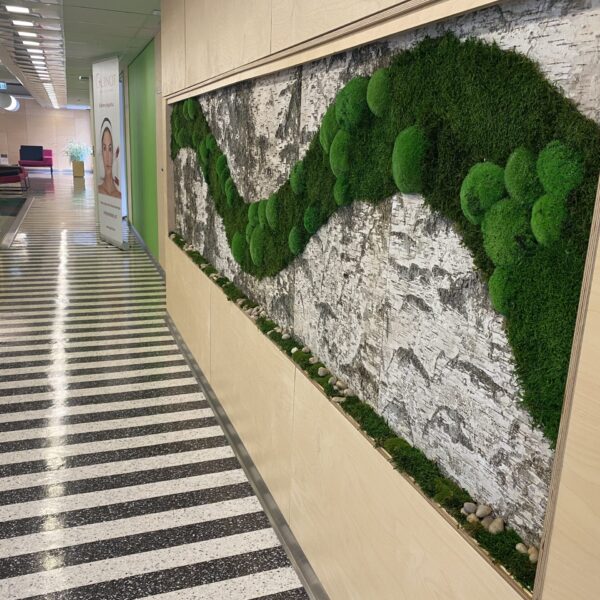 tERVISE SPAA KASETOHUST JA SAMBLIKUST SEIN.