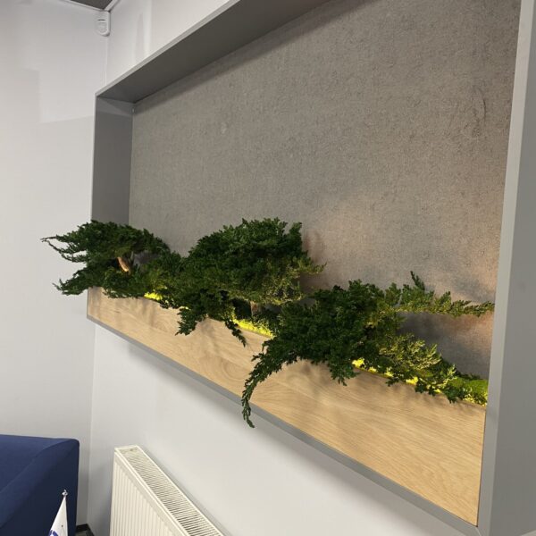 32F39DAF-A15A-4716-9C6E-1CA9C2B6CFB5