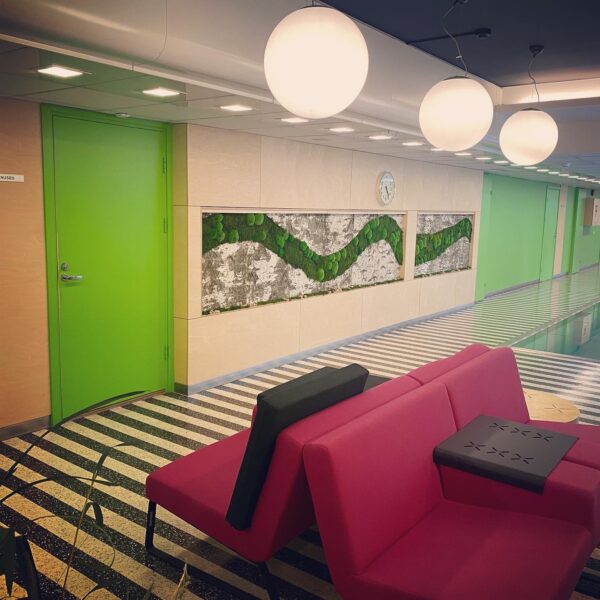 tERVISE SPAA KASETOHUST JA SAMBLIKUST SEIN.