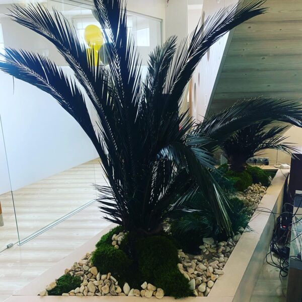 35EDA6E5-31FB-438A-A4DD-4898C3B1F52D