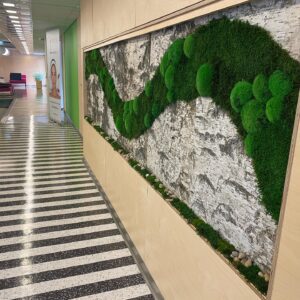 tERVISE SPAA KASETOHUST JA SAMBLIKUST SEIN.